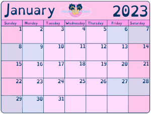 Pink calendar depicting the month of January 2023